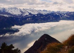 Alpenpanorama