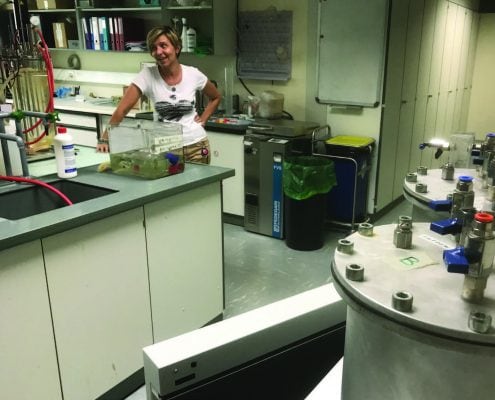 Biomethan aus Industrieabfällen