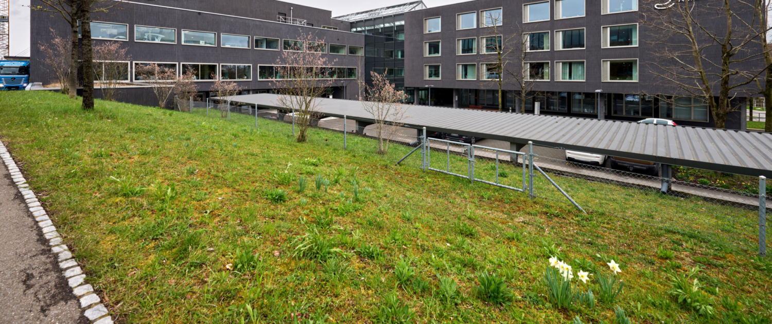 Schulthess Klinik Zurich, Subventionnement Assainissement Le Programme Bâtiments